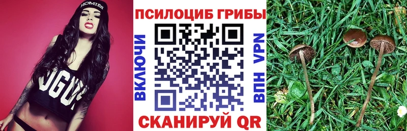 Галлюциногенные грибы Cubensis hydra зеркало Орлов